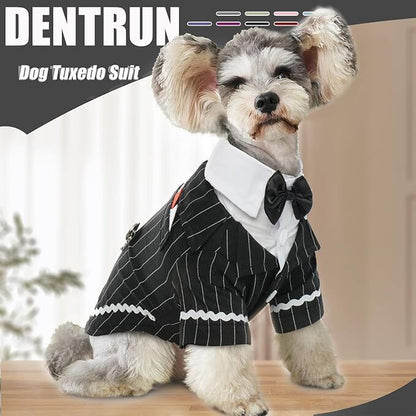 pet products Dog Cat Tuxedo Suit with Bow Tie - Formal Black & White Striped Pet Costume Shirt, Elegant Wedding Outfit Birthday Party Attire for Maltese Dachshund Yorkie Puppies Shih Tzu Small Medium Dogs and cats - Image 4