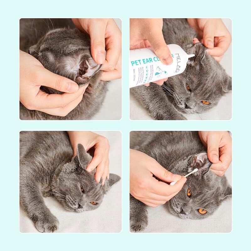 pet products Pet products Ear Cleanser for Dogs and Cats – Gentle Daily Ear Wash – Long Nozzle for Deep Ear Cleaning – Removes Wax, Odor & Moisture - Image 3