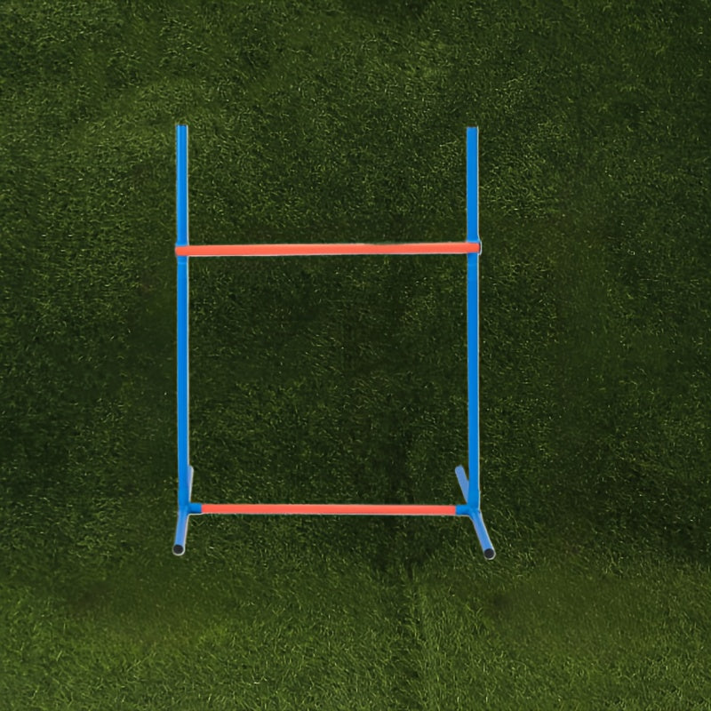 Dog Agility Training Set for Pets - Image 6