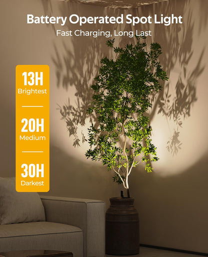Spotlights Indoor, No-Glare Rechargeable Floor Can Light for Plants with Remote, Wireless Art Accent Spot Lights Uplight for Painting, Picture, Dartboard, Home, Corner Sofa Display - Image 3