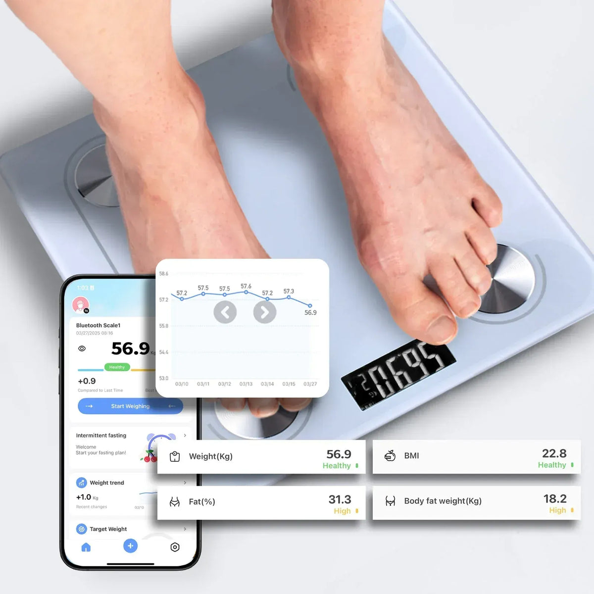 Clevinger Bluetooth Smart Digital Glass Bathroom Scale – 180kg Max Capacity - Image 5