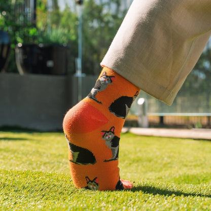 8 Pairs Fashion Novelty Funny  Socks one Size 5-13 Men  Socks  Women  Socks #1 - Image 5