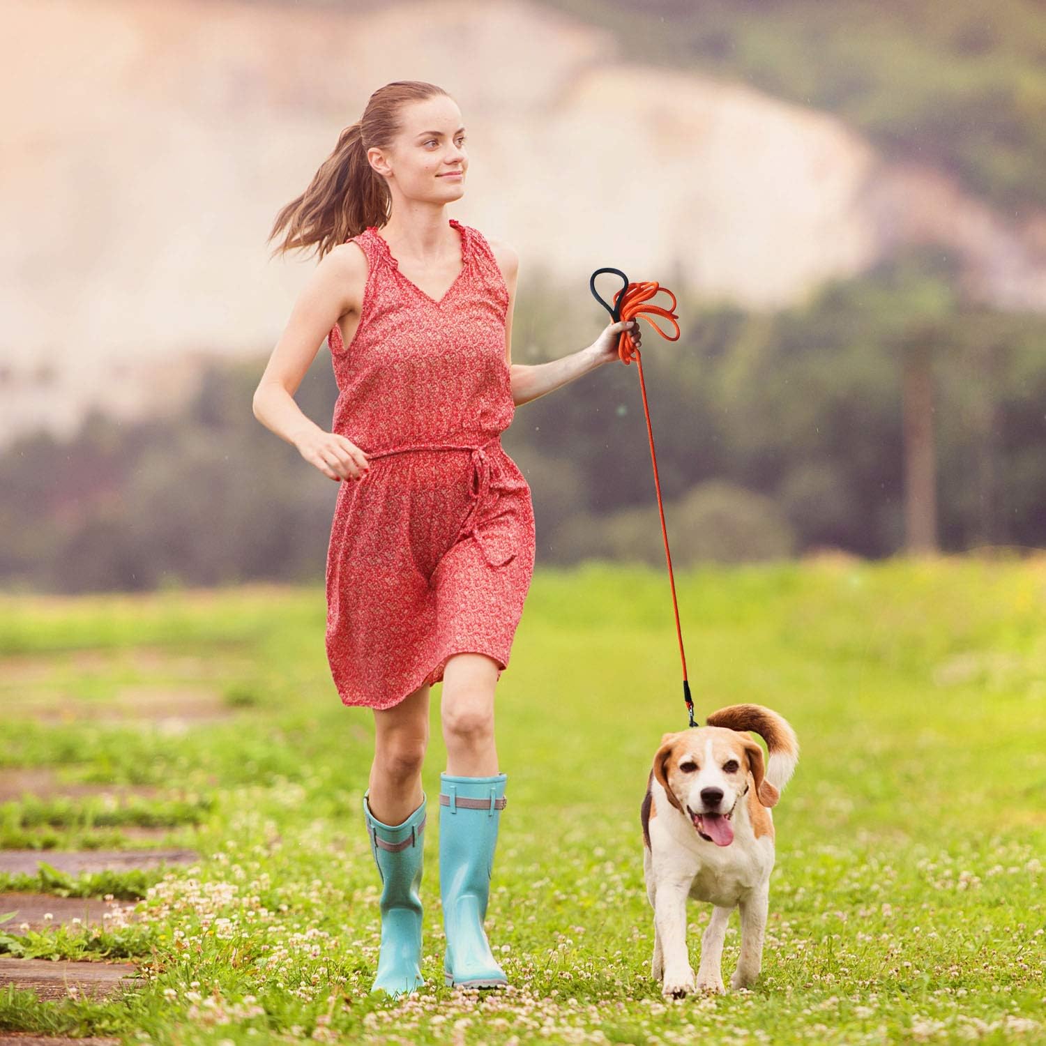 Dog Training Leash with Comfortable Handle - Image 3