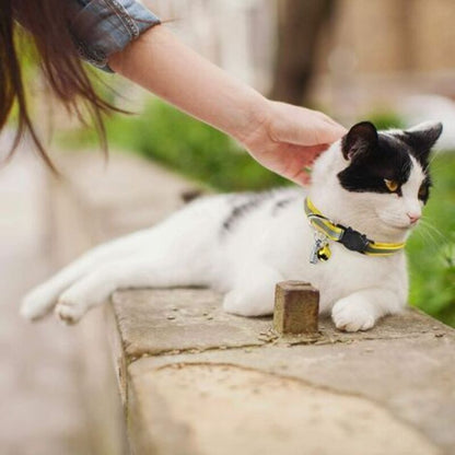 Adjustable Reflective Collars for Cats and Puppies with Bell and Safety Buckle, 6X Multicolor Pet Accessories - Image 5