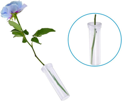 21 Pack 60ml Large Floral Tubes with Rack Holder for Milkweed Cuttings, Raising Caterpillars, Monarchs, Butterflies, Flower Arrangements - Image 2