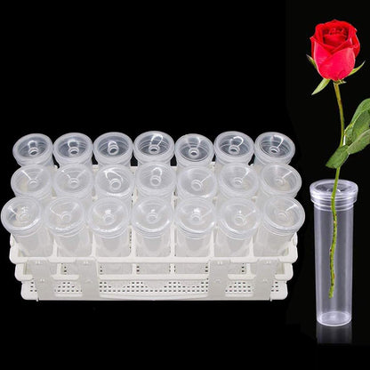 21 Pack 60ml Large Floral Tubes with Rack Holder for Milkweed Cuttings, Raising Caterpillars, Monarchs, Butterflies, Flower Arrangements - Image 3