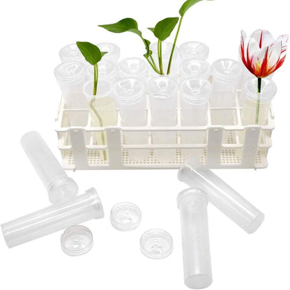 21 Pack 60ml Large Floral Tubes with Rack Holder for Milkweed Cuttings, Raising Caterpillars, Monarchs, Butterflies, Flower Arrangements - Image 4