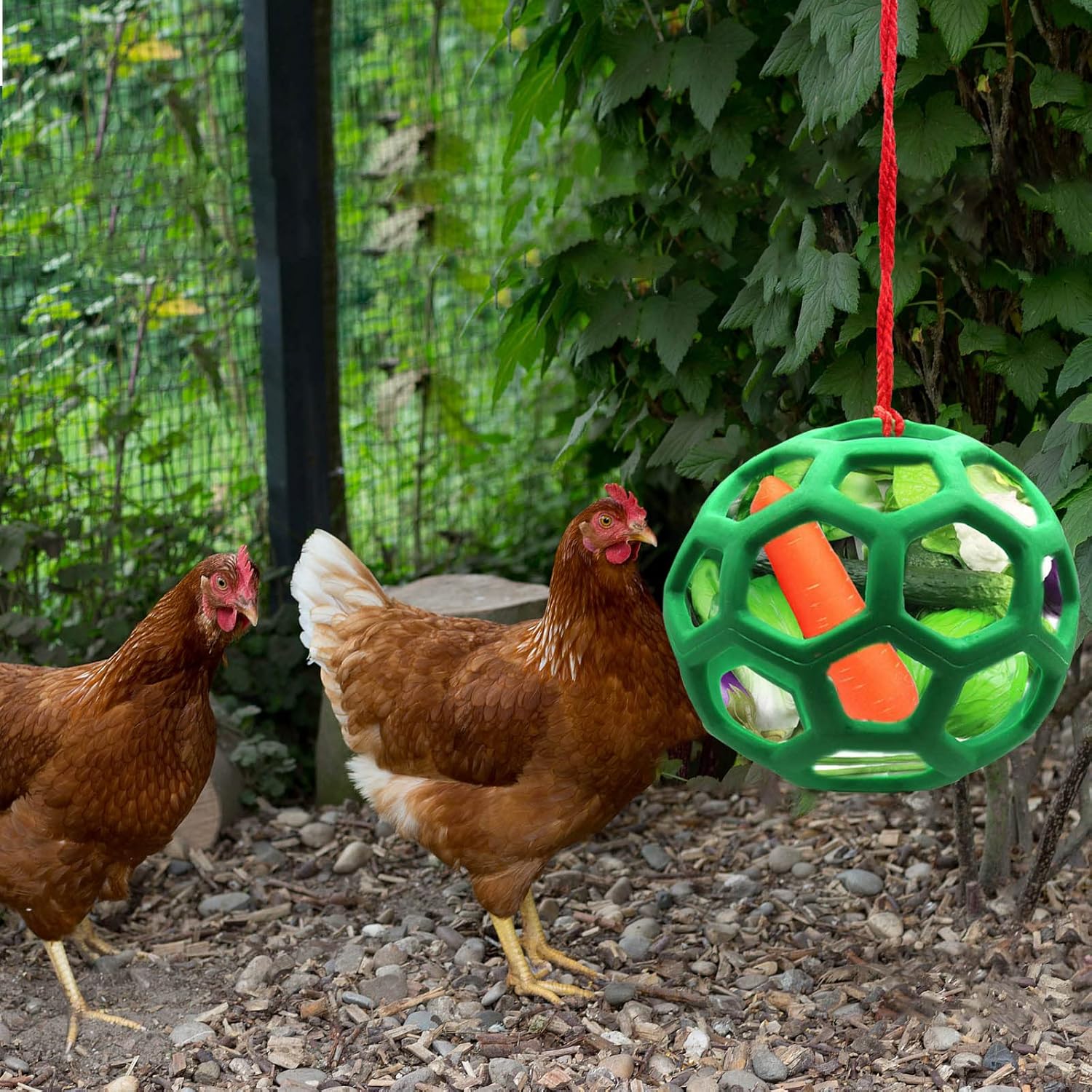 2pcs Chicken Vegetable Feeder Ball Hanging Feeding Toy, Poultry Fruit Holder Chicken Cabbage Feeder Treat Feeding Tool for Hens Chicken Coop Goose Duck Large Birds - Image 2