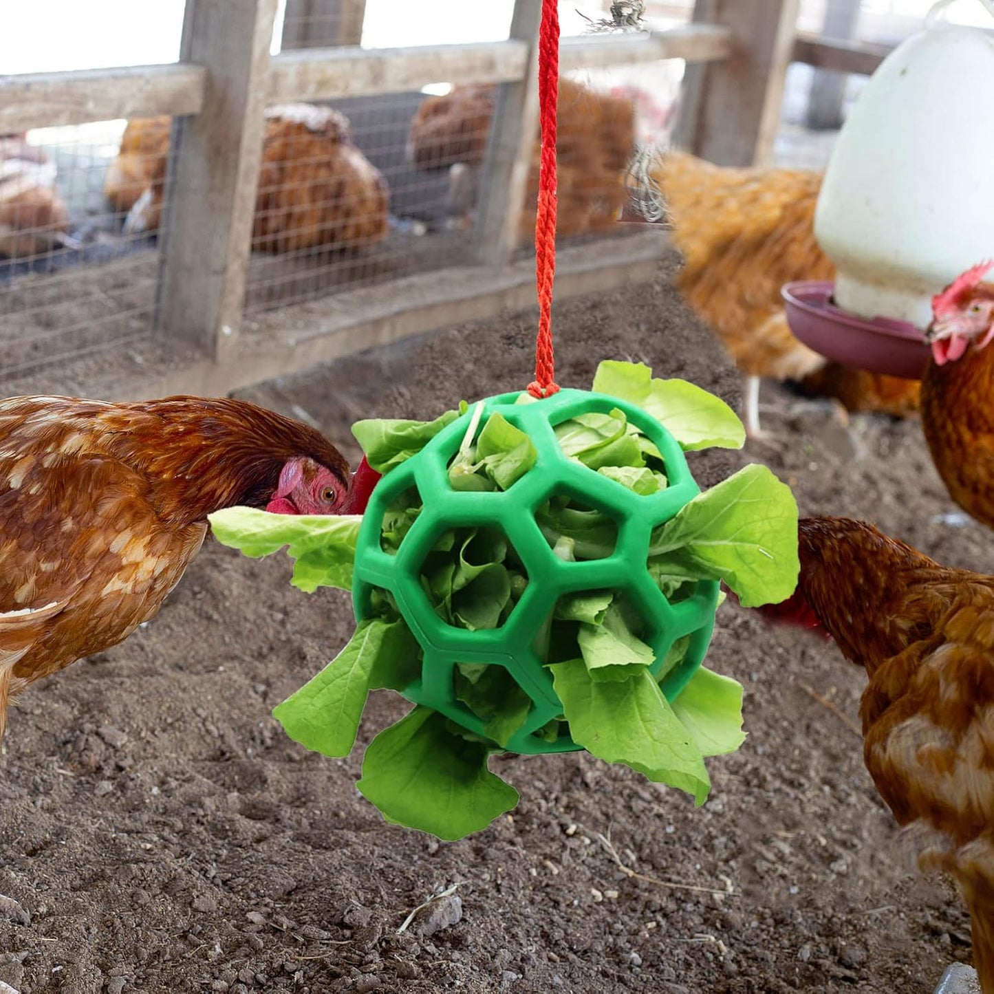 2pcs Chicken Vegetable Feeder Ball Hanging Feeding Toy, Poultry Fruit Holder Chicken Cabbage Feeder Treat Feeding Tool for Hens Chicken Coop Goose Duck Large Birds - Image 3