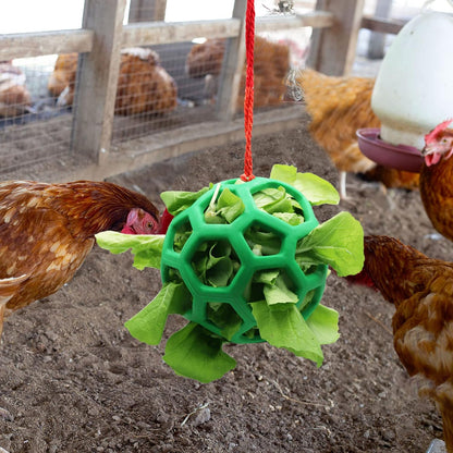 2pcs Chicken Vegetable Feeder Ball Hanging Feeding Toy, Poultry Fruit Holder Chicken Cabbage Feeder Treat Feeding Tool for Hens Chicken Coop Goose Duck Large Birds - Image 3