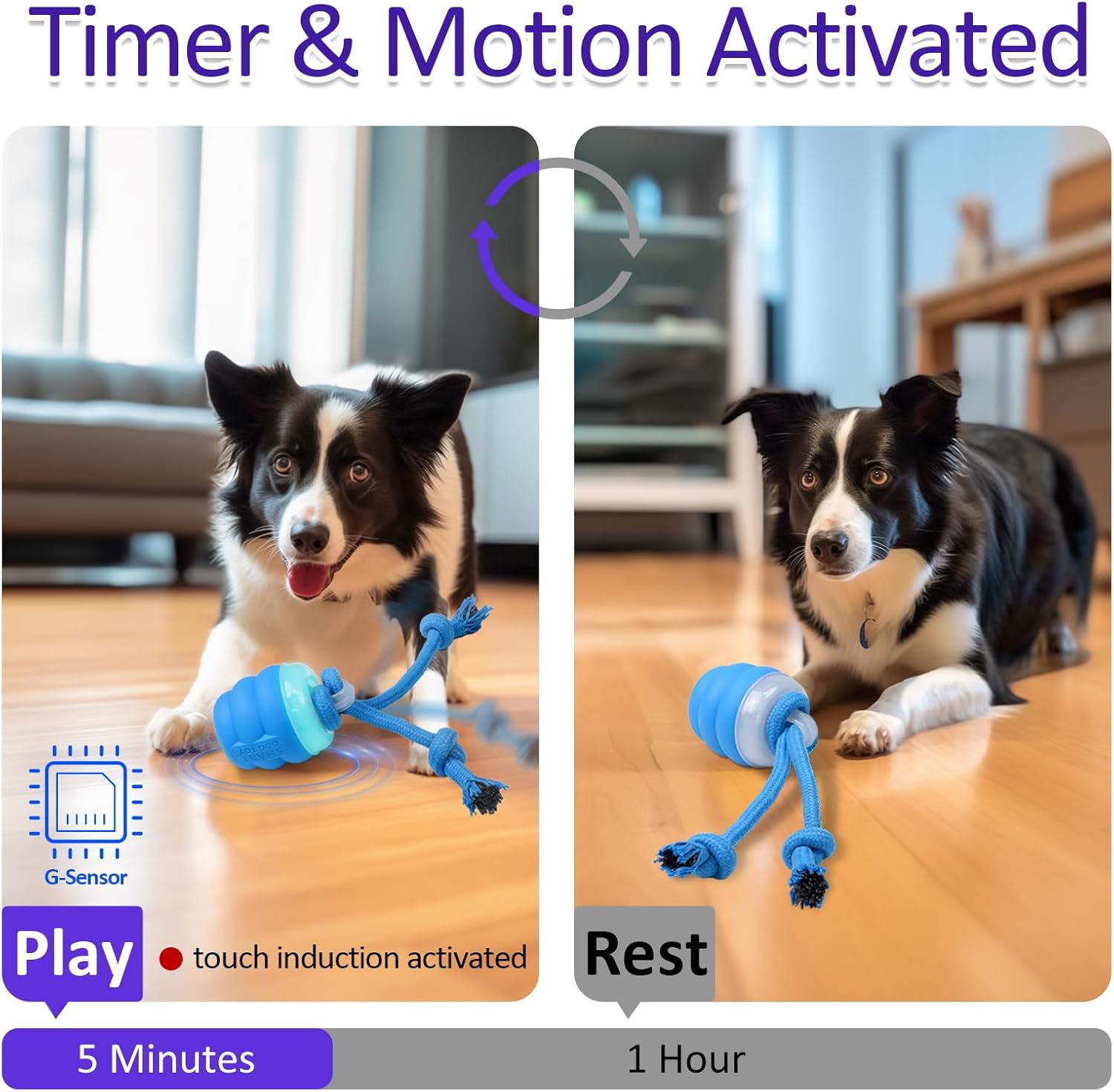 Interactive Dog Toys with Motion Activated, Squeaky Dog Toy Active Rolling Ball Wicked Ball for Daily Training  BLUE - Image 3