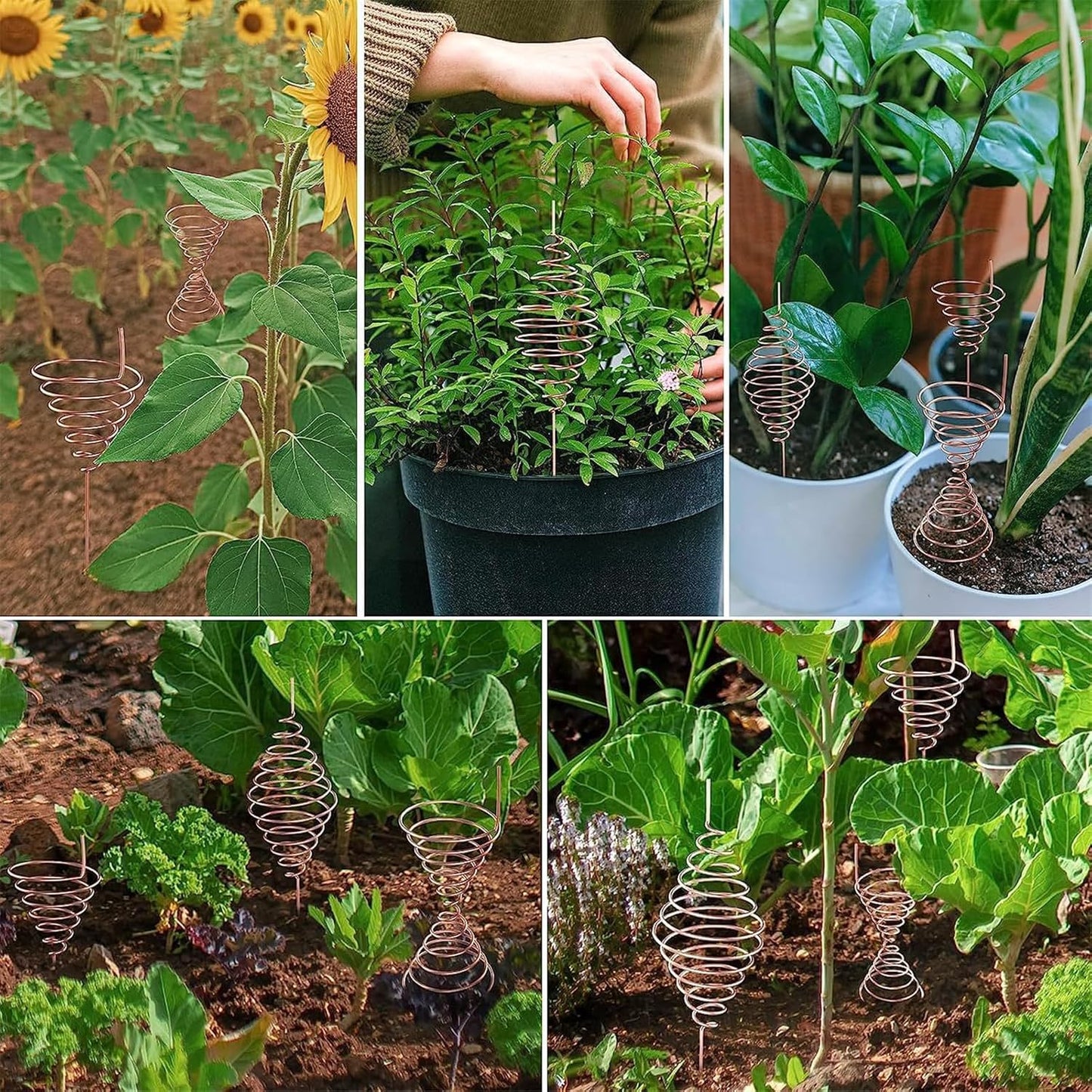 Pure Copper Wire 20m for Gardening Air Plant Stands Vegetable Growing - Image 4