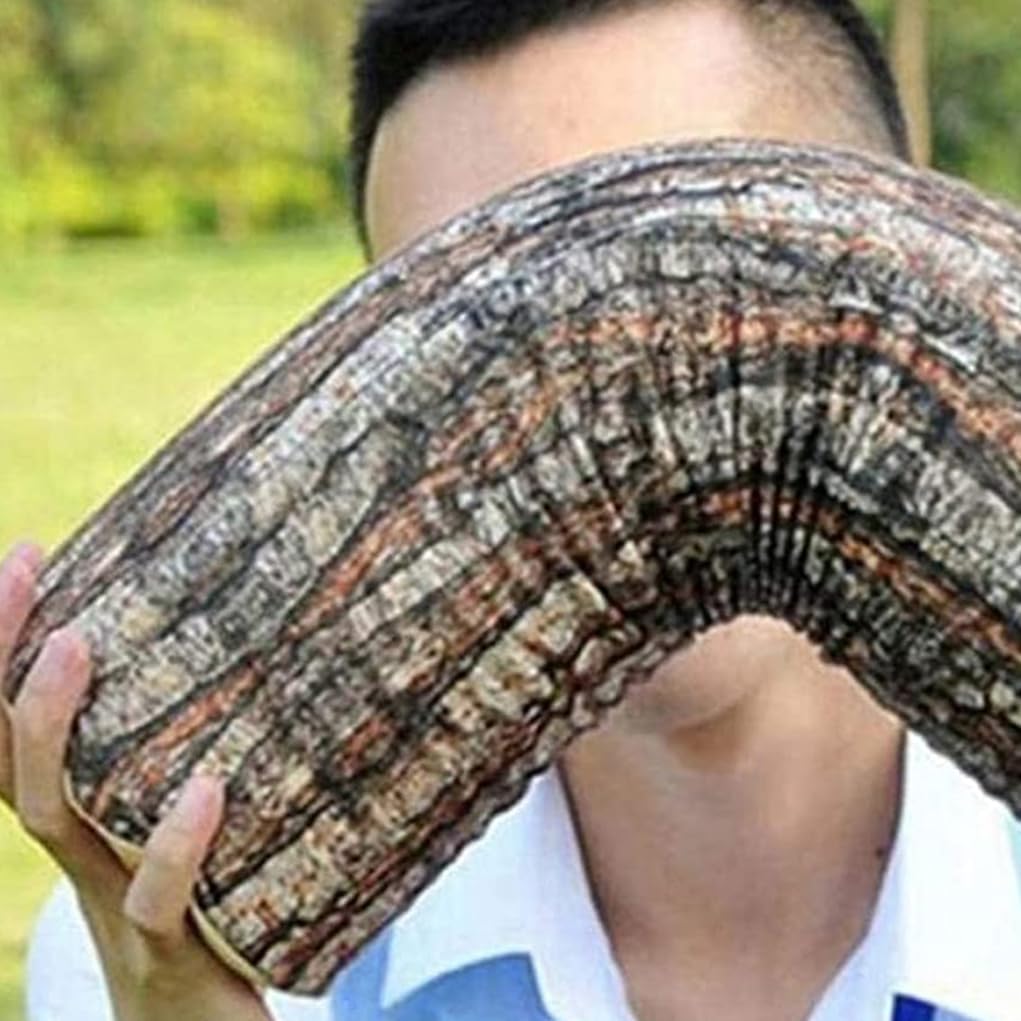 Log Cushion Round Stump Shaped Wood Grain Design Decorative Pillow Cover for Home Decor - Image 3