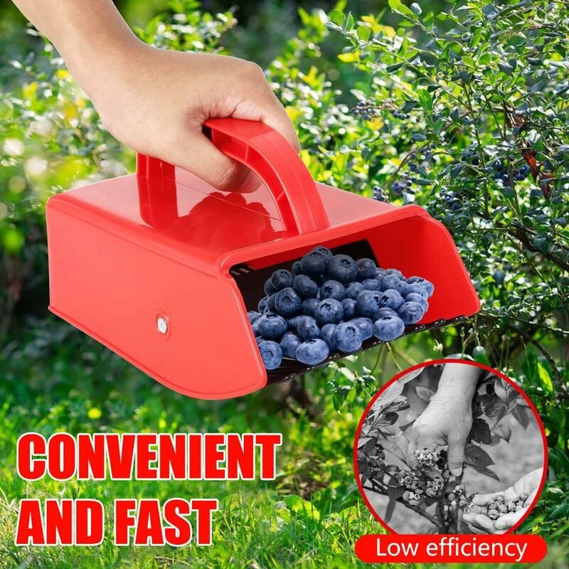 Blueberry Picker With Metal Comb Fruit Picker For Gooseberries, Blackcurrants, Picker - Image 2