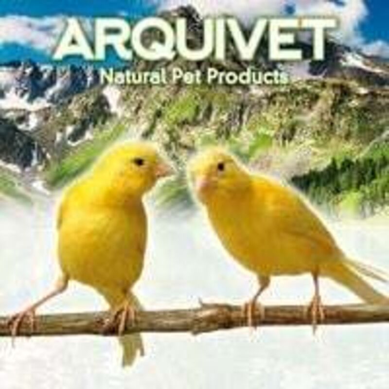Replacement Bird Cage Feeder - Bird Cage Accessories - Bird Accessories - Bird Feeders - Bird Food - Image 4