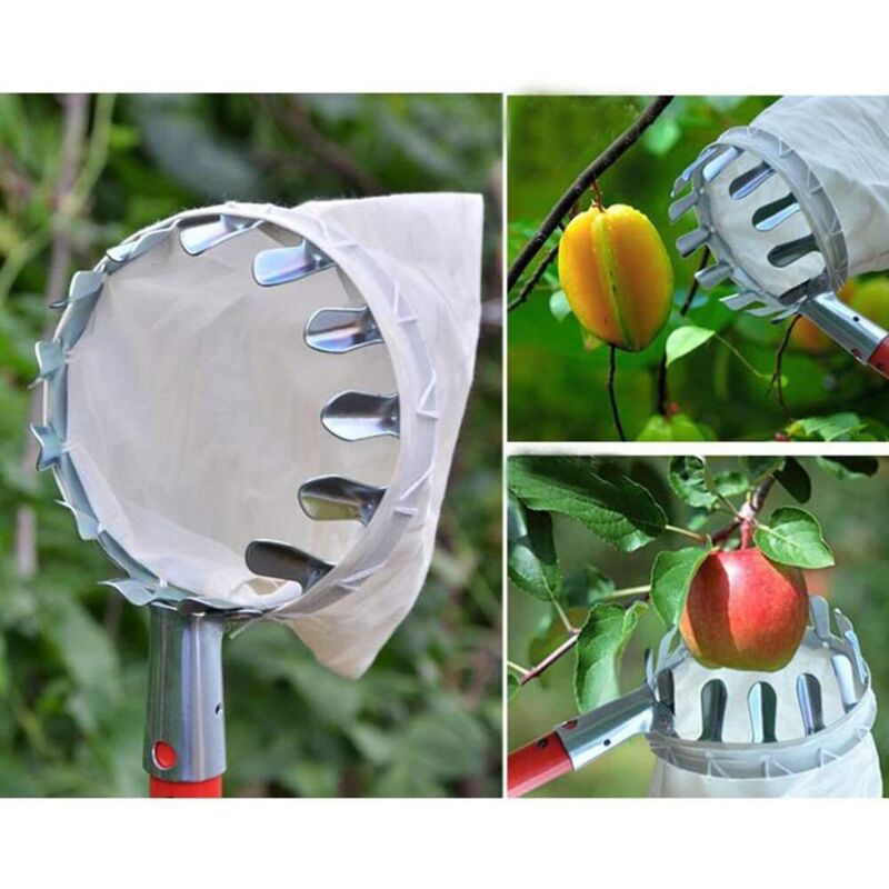 Fruit Picker Without Metal Telescopic Handle, Apple Picker With Protective Cover 160Mm - Image 3