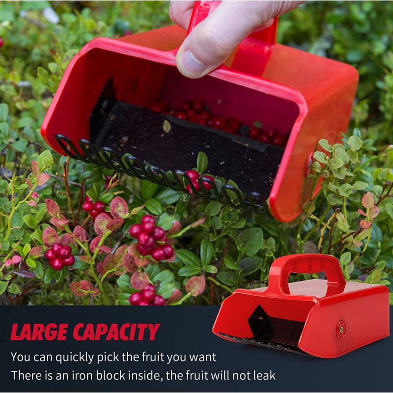 Blueberry Comb - Berry Scoop - Plastic Berry Picker Tools For Picking Raspberries, Blackberries, Blueberries And - Image 2
