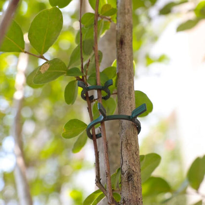200 pcs Plant Support Clips,Plastic Plant Clips,Climbing Plant Fixing Clips,Garden Clips,For - Image 3