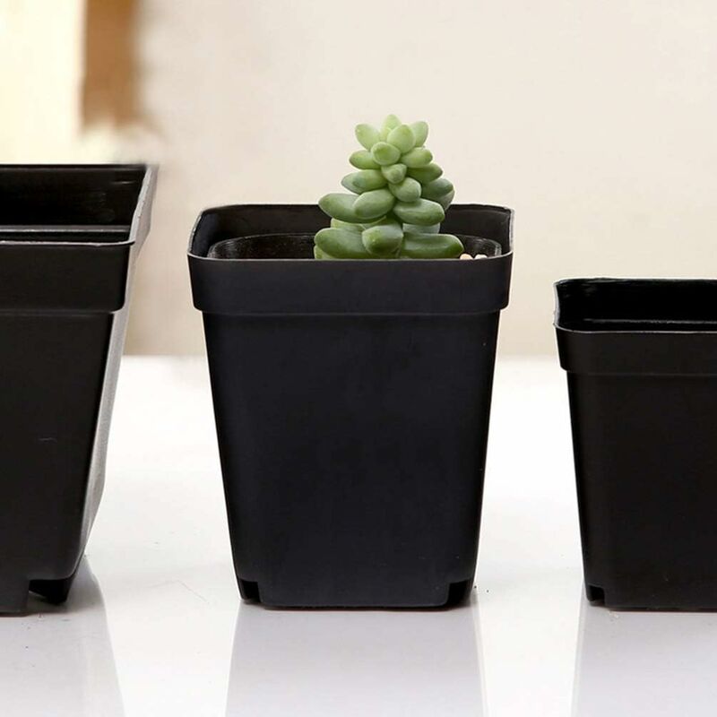 50 pcs Black Seedling Pot - Square Plastic Plant Pots - Small Indoor Outdoor Flower Pot (Black/ 6X6X6.5Cm) - Image 3