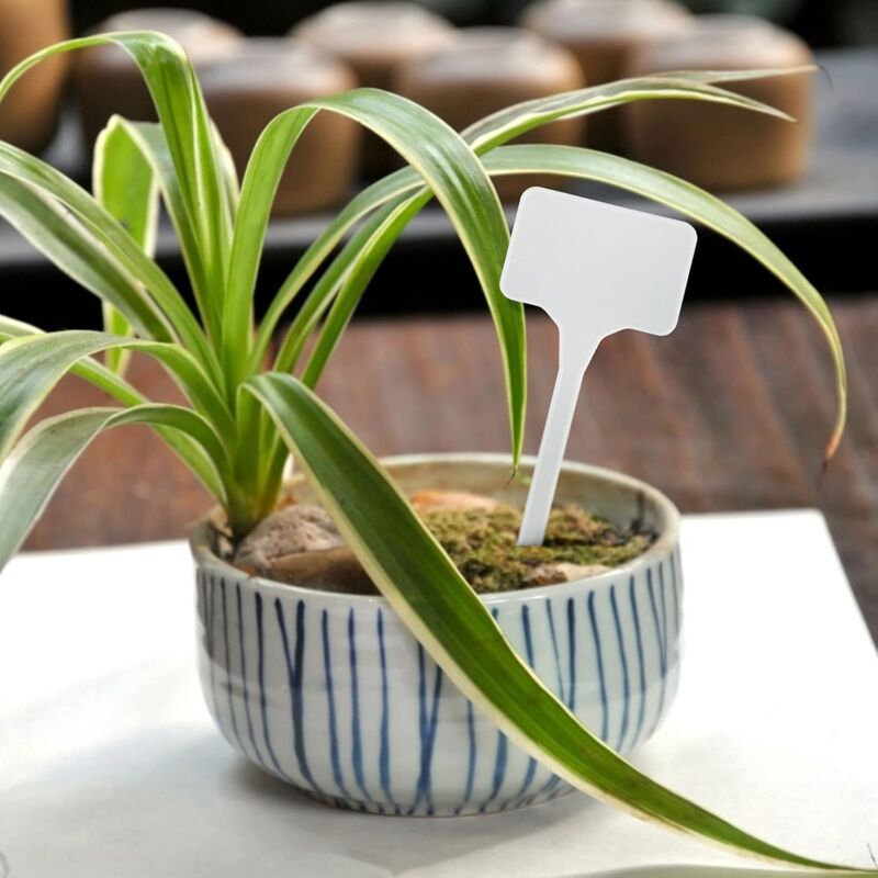50 Pieces 15.5Cm Outdoor Plant Large Labels Outdoor Plastic Vegetable Garden, White - Image 4