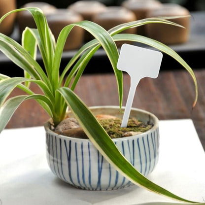 50 Pieces 15.5Cm Outdoor Plant Large Labels Outdoor Plastic Vegetable Garden, White - Image 4