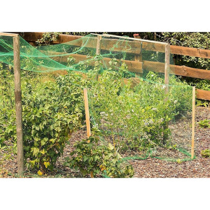 4 X 10 M Bird Protection Netting, Garden For Plants Ponds Fruits Vegetables - Image 2