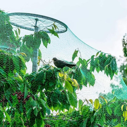 4 X 10 M Bird Protection Netting, Garden For Plants Ponds Fruits Vegetables - Image 3