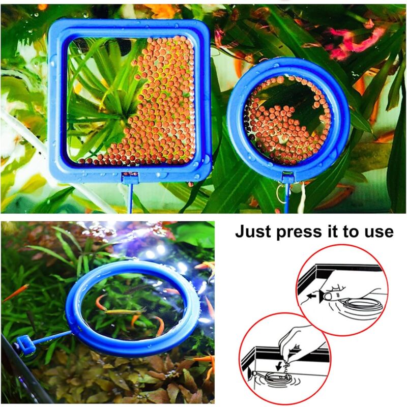 2 pcs Fish Feeding Rings Aquarium Feeder Food Feeding Ring For Guppy Betta Goldfish Blue - Image 2