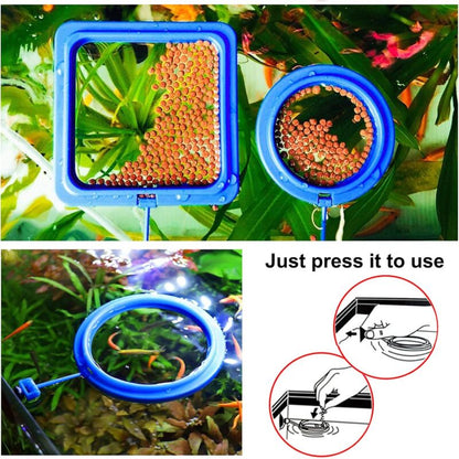 2 pcs Fish Feeding Rings Aquarium Feeder Food Feeding Ring For Guppy Betta Goldfish Blue - Image 2