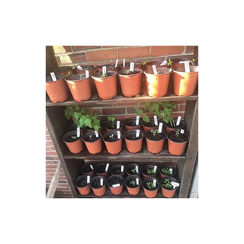 100 pcs 10Cm(Diameter) Soft Plastic Seed Pot Seedling Pot Seedling Pot - Image 3