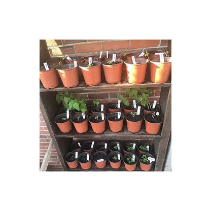 100 pcs 10Cm(Diameter) Soft Plastic Seed Pot Seedling Pot Seedling Pot - Image 3