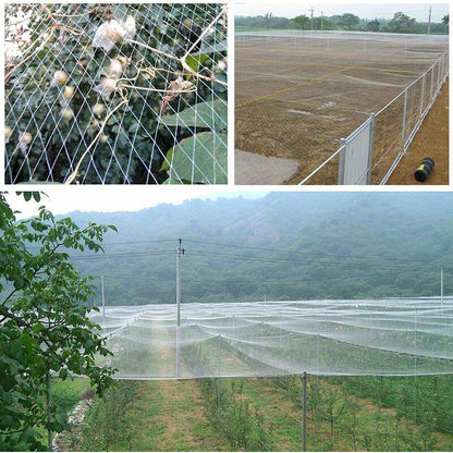 10M X 4M Anti Bird Garden Netting 2.5Cm Mesh - Protection Net For Water Pond, Fruits, Vegetables And Plants - Image 4