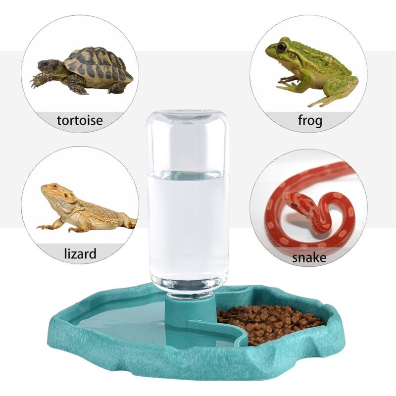 Reptile Water Dispenser, 2 In 1 Anti-Overflow Food Dispenser Bowl, Plastic Food Bowl For Tortoise Gecko - Blue - Image 4