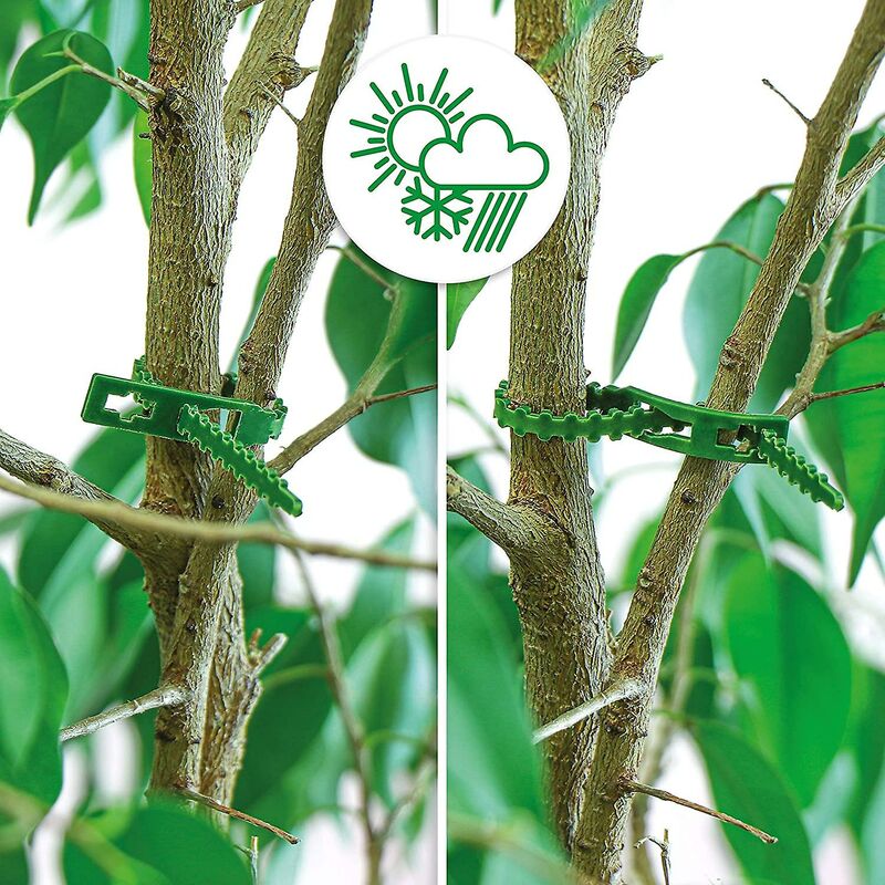 200X Green Plastic Plant Binder - Stabilize Plants - Plant Clips - Plant Stake Clip (13 Cm) - Image 2
