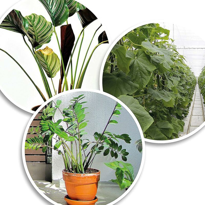 200X Green Plastic Plant Binder - Stabilize Plants - Plant Clips - Plant Stake Clip (13 Cm) - Image 3