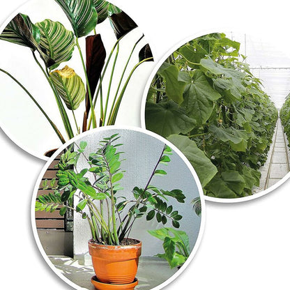 200X Green Plastic Plant Binder - Stabilize Plants - Plant Clips - Plant Stake Clip (13 Cm) - Image 3