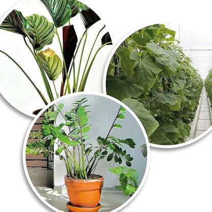 200X Green Plastic Plant Binder - Stabilize Plants - Plant Clips - Plant Stake Clip (13 Cm) - Image 3