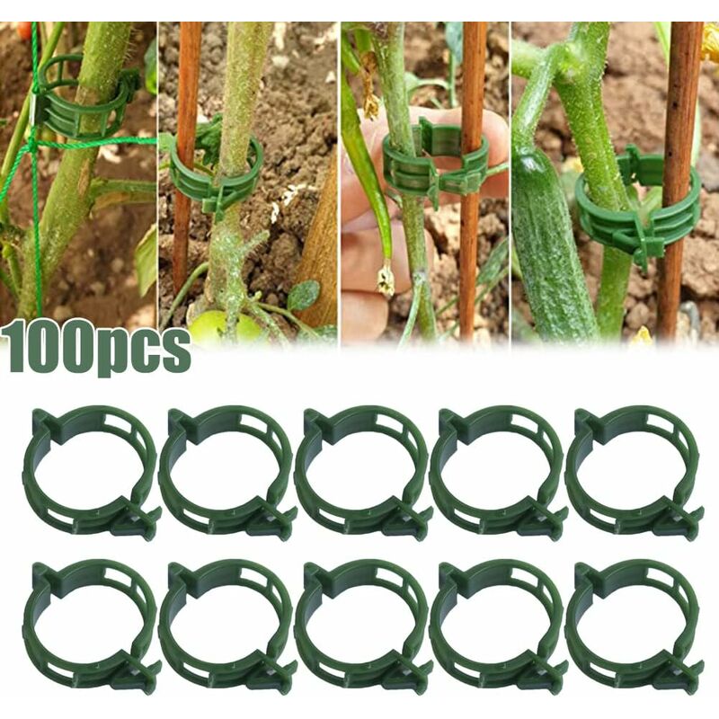 100 pcs Plant Support Clips Tomato Clips Ties Twine Vine Trellis Cages Climbing Plants Vegetables 2.5Cm - Image 2