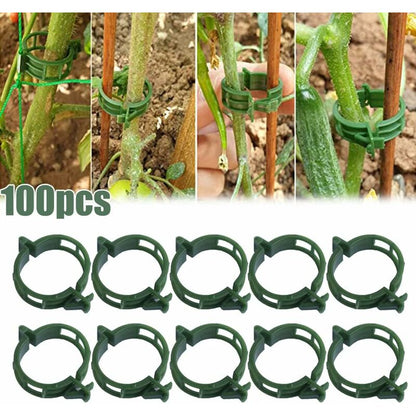 100 pcs Plant Support Clips Tomato Clips Ties Twine Vine Trellis Cages Climbing Plants Vegetables 2.5Cm - Image 2