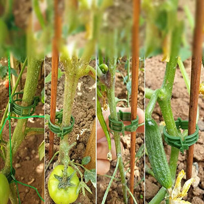 100 pcs Plant Support Clips Tomato Clips Ties Twine Vine Trellis Cages Climbing Plants Vegetables 2.5Cm - Image 4