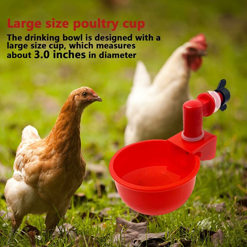 6 pcs Automatic Chicken Waterer Supplies Bowl Cups Plastic Bowl, Poultry Water Dispensers Automatic Drinking Water Cups - Image 4
