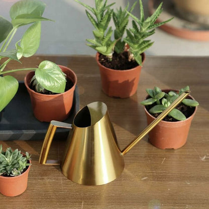Stainless Steel Watering Can With Long Narrow Nozzle, Garden Plants Flower Tool, Ideal For Home, Garden, Balcony, - Image 4
