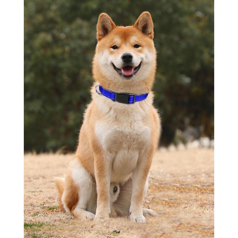 Dog Collar, Classic Adjustable Reflective Nylon Collar Suitable For Medium Dogs, DArk Blue, 2.5Cm Width - Image 2