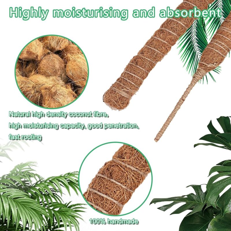 2 pcs Foldable Plant Stake, 60Cm Long Plant Stake Coco Climbing Plant Support, Climbing Plant Support For Monstera Plant - Image 3