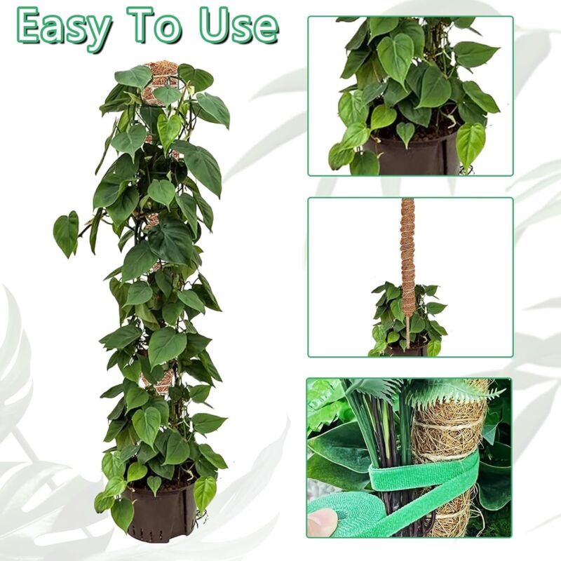2 pcs Foldable Plant Stake, 60Cm Long Plant Stake Coco Climbing Plant Support, Climbing Plant Support For Monstera Plant - Image 4
