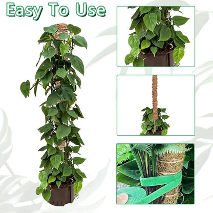 2 pcs Foldable Plant Stake, 60Cm Long Plant Stake Coco Climbing Plant Support, Climbing Plant Support For Monstera Plant - Image 4