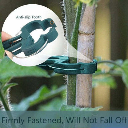 100 pcs Plant Clips, Spring Clips Plant Support For Tomatoes And Vine Vegetables - Image 4