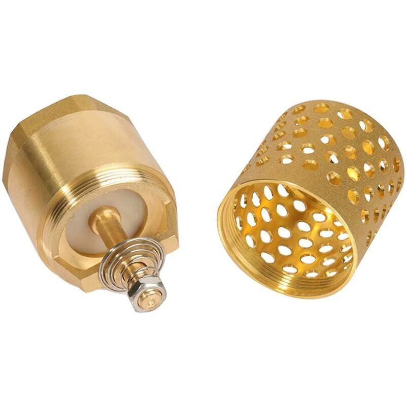 1 Inch Pump Check Valve - Foot Valve Strainer Check Valve (1 Inch) - Image 2