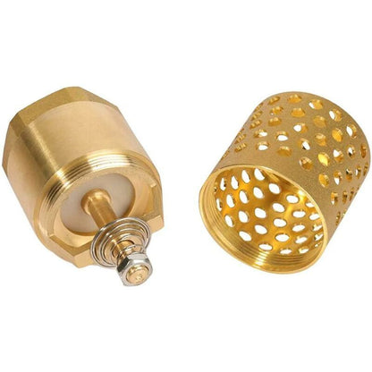 1 Inch Pump Check Valve - Foot Valve Strainer Check Valve (1 Inch) - Image 2