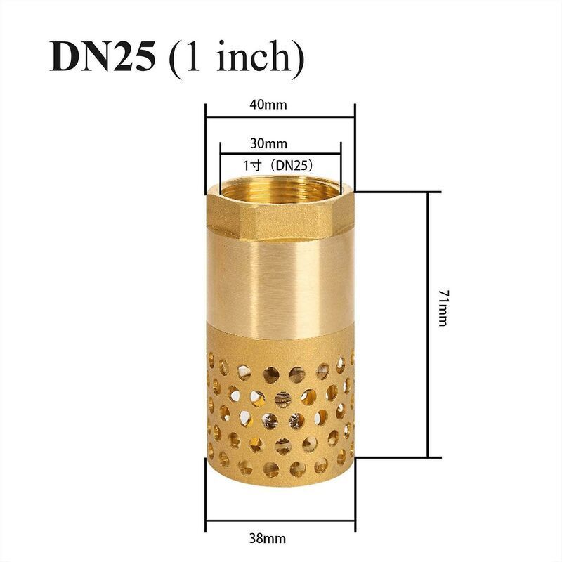 1 Inch Pump Check Valve - Foot Valve Strainer Check Valve (1 Inch) - Image 3
